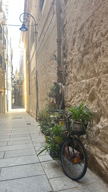 VIA CORTE D'APPELLO TOP